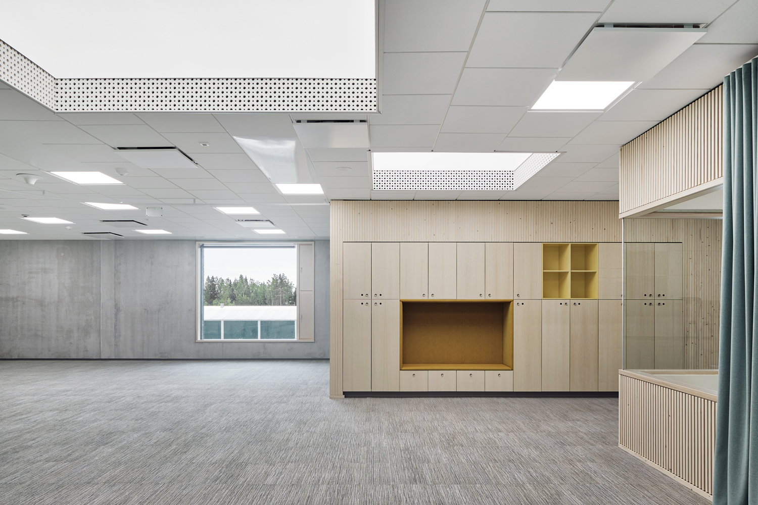 校園文化建設(shè)公司