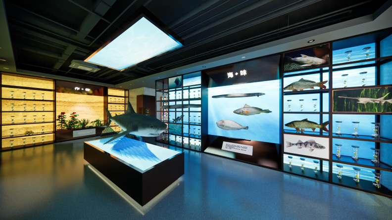 展廳設(shè)計公司,展館設(shè)計公司,北京展廳設(shè)計公司,北京展館設(shè)計公司,北京展館展廳公司,北京展覽公司