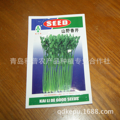 優質香芹種子廠家供應 高產芹菜種苗助您增收