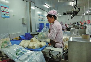 從星辰到餐桌 如何打造航天級(jí)品質(zhì)的農(nóng)產(chǎn)品