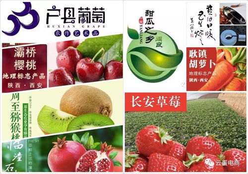 農(nóng)產(chǎn)品上行“三步走” 打通從田間到餐桌的數(shù)字化通路